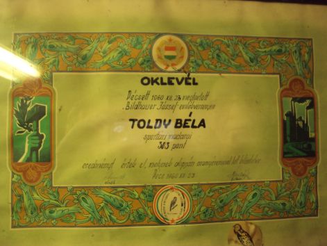 toldyokl1.jpg